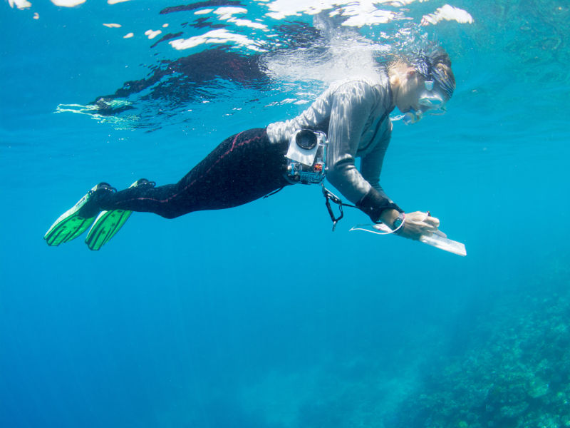 Coral Index Project - Marine Discoveries